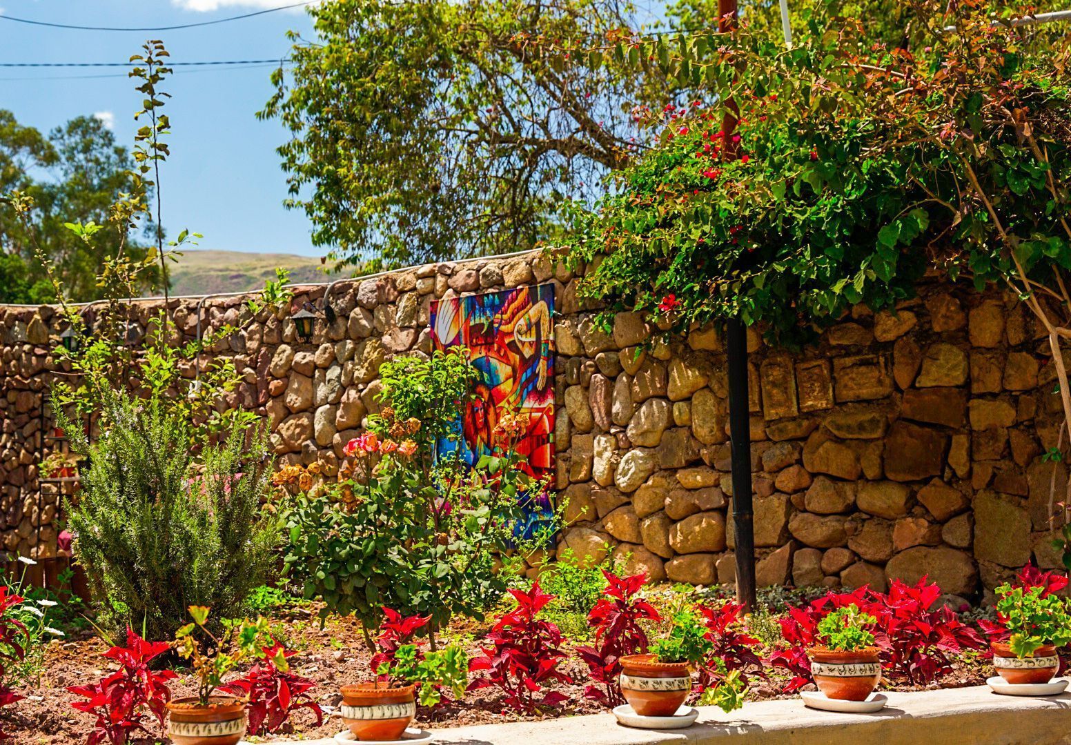 Área da propriedade