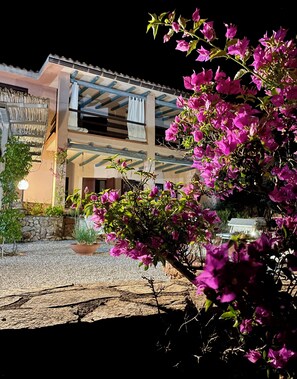 Exterior detail - Vacation apartment with panoramic sea view, terrace and garden (San Teodoro)