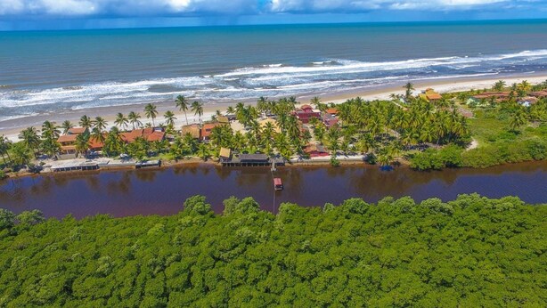 Vista aérea de una zona costera con playa, palmeras y una masa de agua.