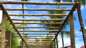 Un sendero que lleva a un edificio, con una copa de palmeras sobre él.