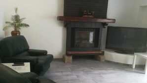 Een woonkamer met een open haard, een televisie en een bank.