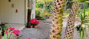 Tropical cottage with fresh rain water hot tub close to Volcanoes National Park