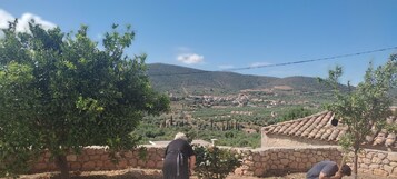 Áreas de la propiedad