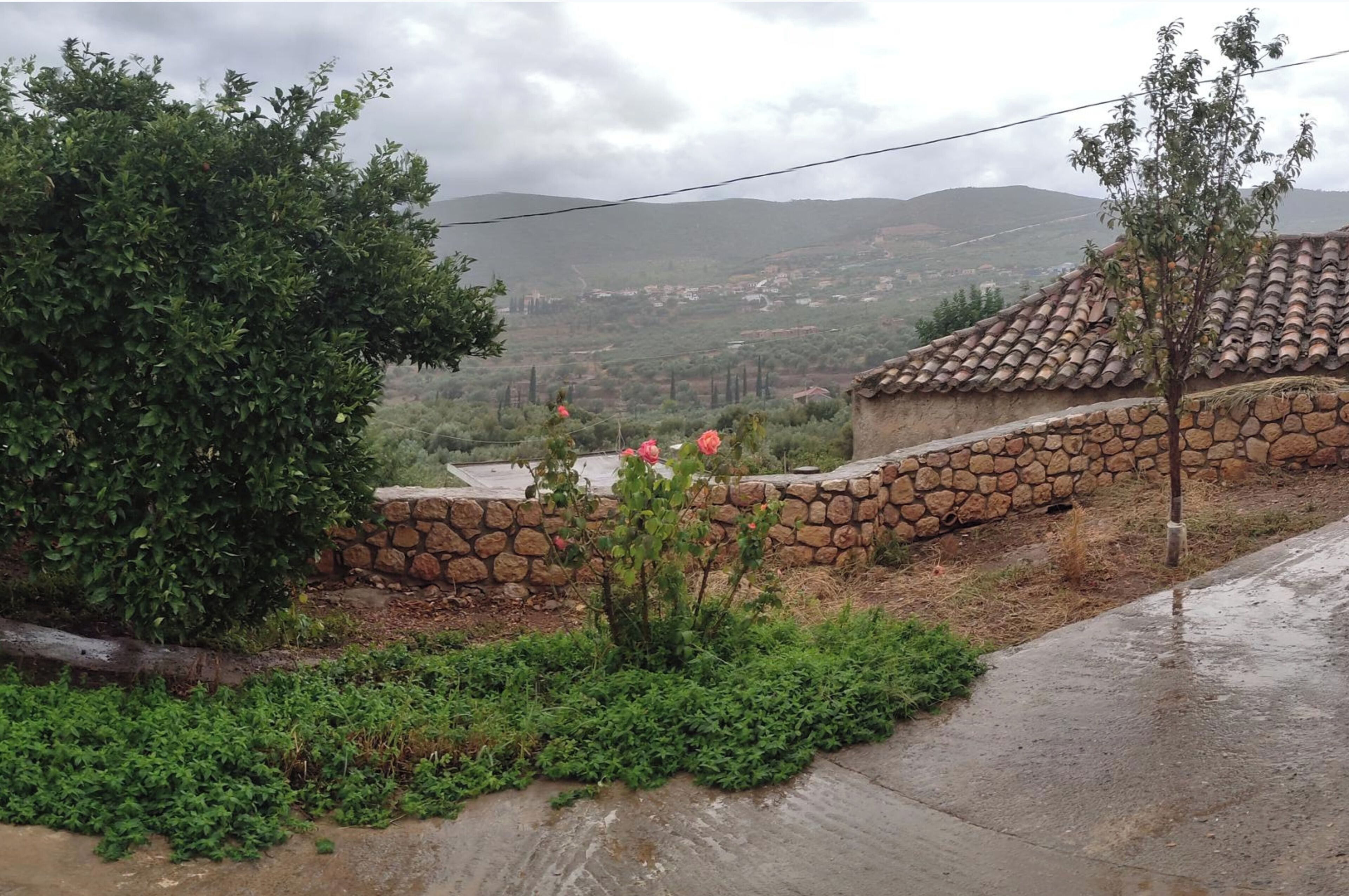 Khuôn viên nơi lưu trú