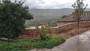 Khuôn viên nơi lưu trú