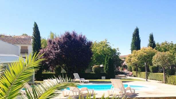Un espace piscine avec des chaises longues, un grand arbre et une pelouse bien entretenue.