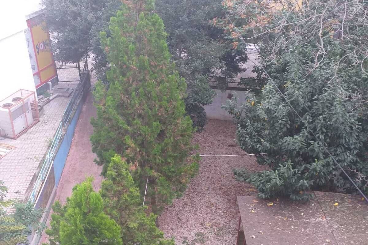 Un patio con árboles y un edificio con un letrero que dice "Liz's Place".