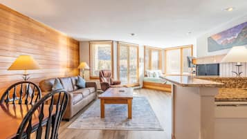 Televisión, chimenea y reproductor de DVD