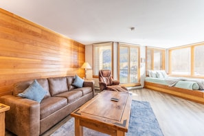 Televisión, chimenea y reproductor de DVD