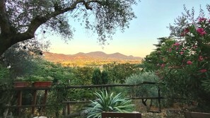 Property grounds - Villino San Silvestro – Independent Cottage Surrounded by Nature and Relaxation (Albettone)