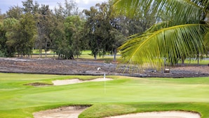 Un campo de golf con búnkeres de arena, un palito de bandera y una palmera.