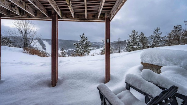 A covered outdoor seating area with benches, surrounded by snow-covered ground and trees, under a wooden roof structure.