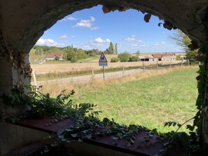 المنطقة المحيطة بالمنشأة