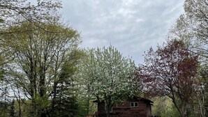Eine rustikale Holzhütte, umgeben von üppigem Grün und Bäumen.