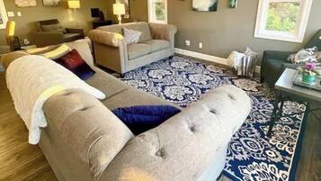 Télévision, cheminée, lecteur de DVD, livres