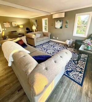 Televisión, chimenea, reproductor de DVD, libros