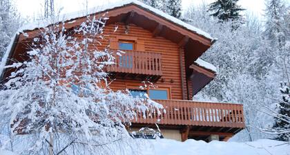 Chalet 150m from the slopes in Montalbert Aime la Plagne