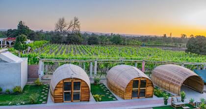 Glamping Toneles y Viñedos en la Ruta del Pisco