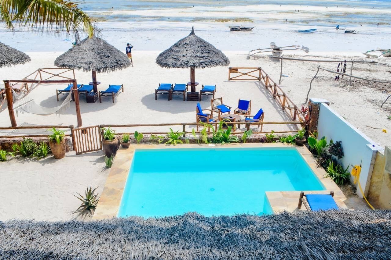 A pool area with blue lounge chairs and thatched umbrellas, surrounded by plants and a sandy beach in the background.