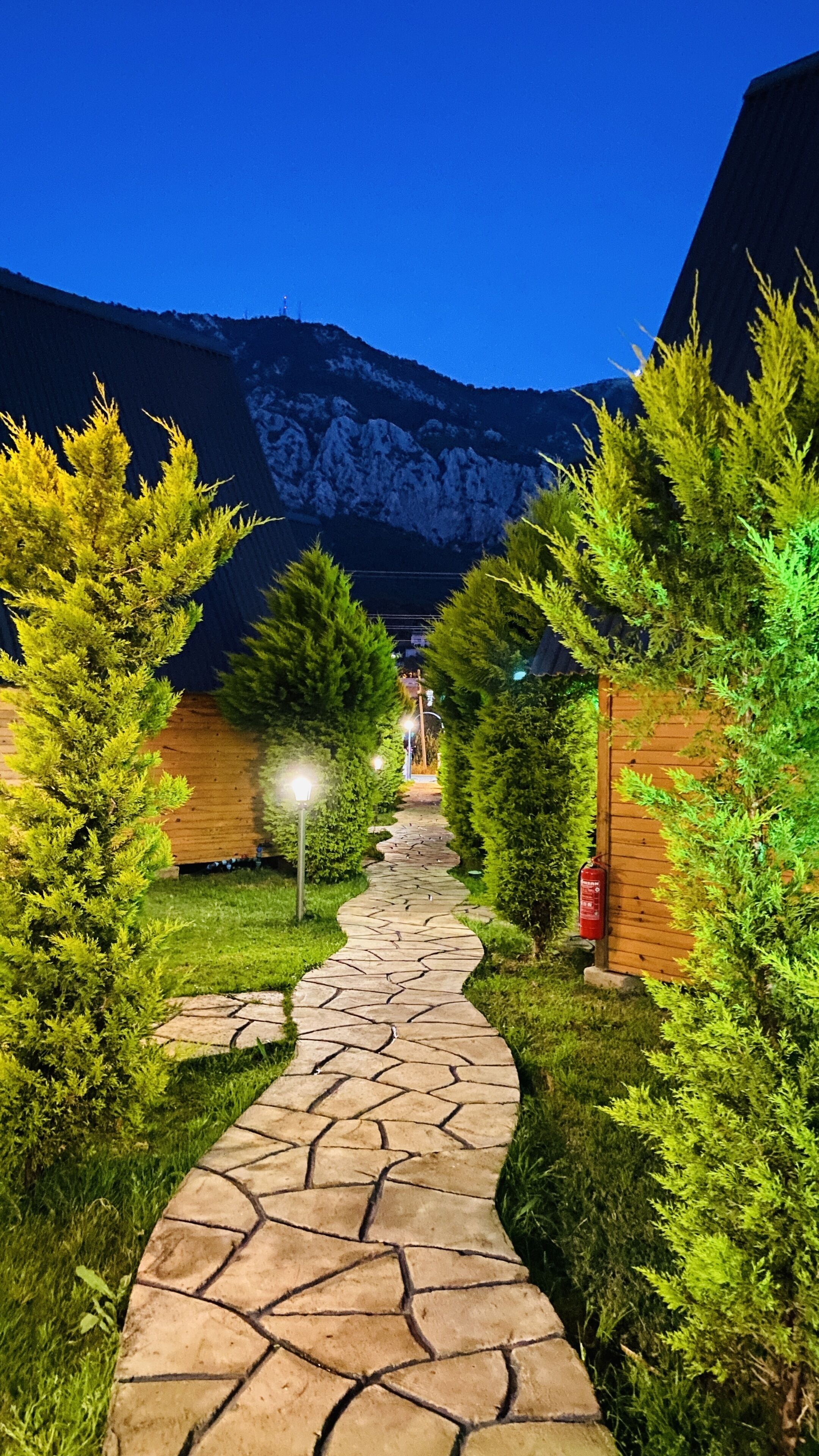 A stone pathway leading through a garden with coniferous trees and a mountain in the background.