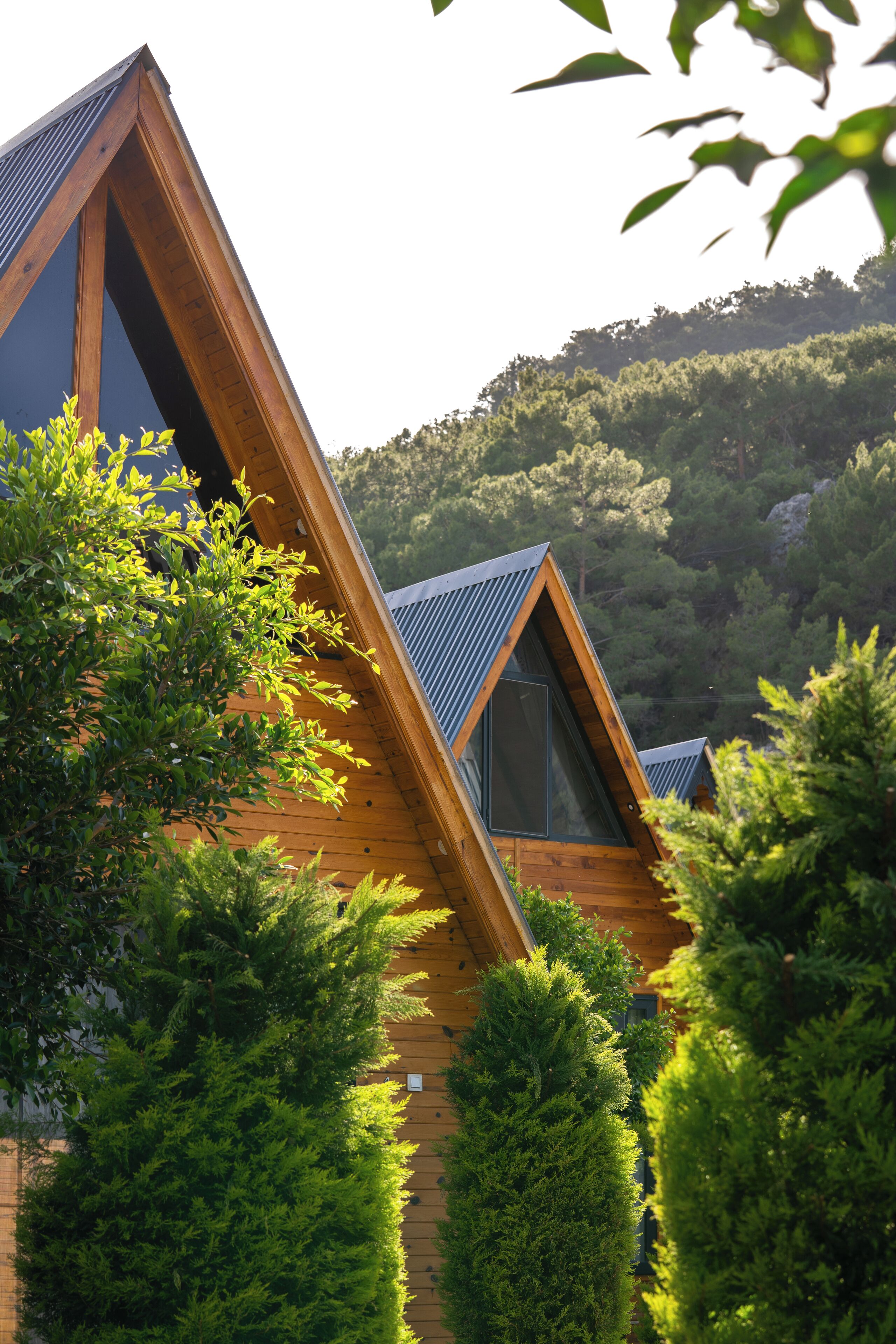 A wooden cabin with a triangular roof, surrounded by dense greenery.