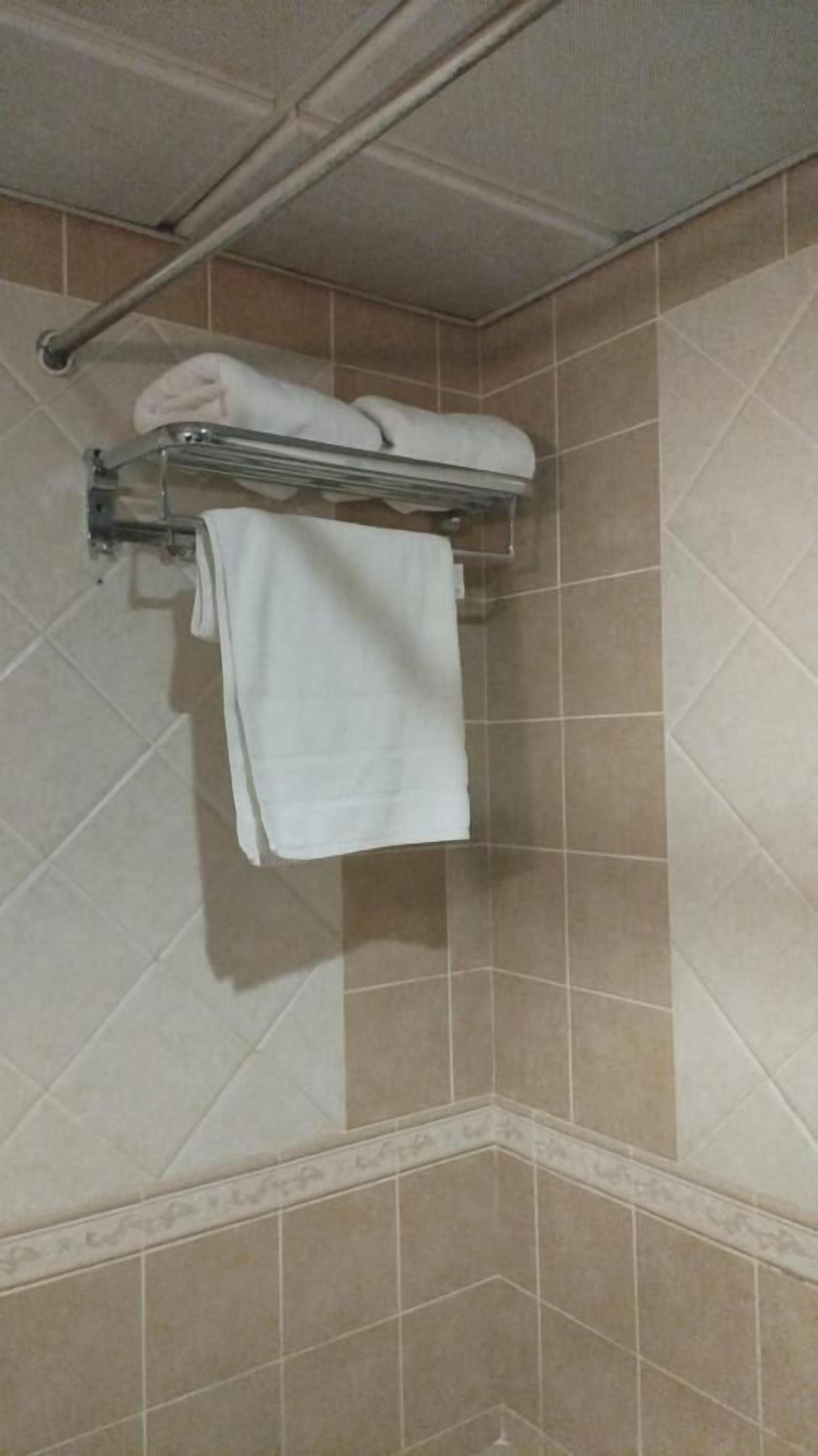 A bathroom with a towel rack holding two towels, a shower area with beige tiles, and a corner with a decorative border.