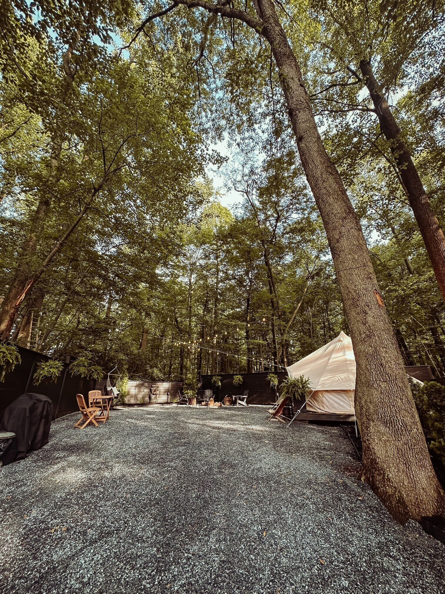 A campsite with a tent, chairs, and a table set up on a gravel surface surrounded by trees.