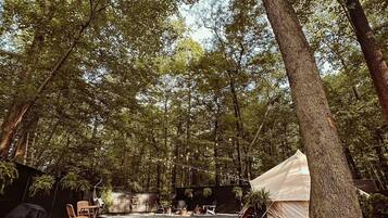 A campsite with a tent, chairs, and a table set up on a gravel surface surrounded by trees.