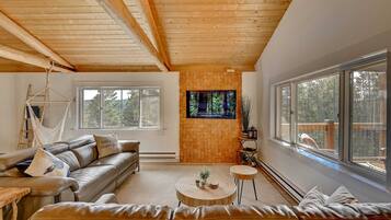 TV, fireplace, DVD player, books