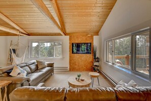 TV, fireplace, DVD player, books