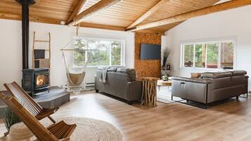 TV, fireplace, DVD player, books