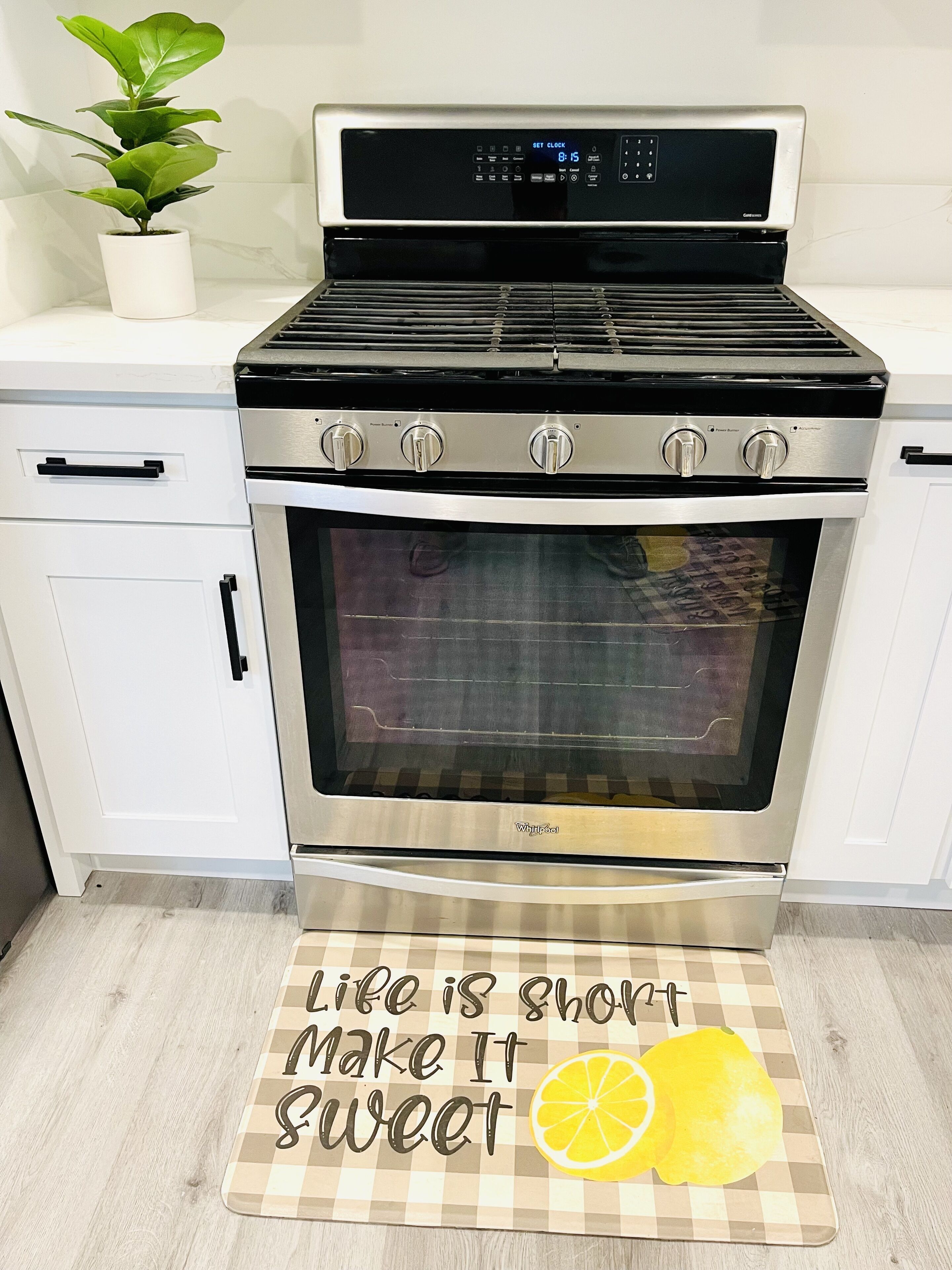 A kitchen with a stainless steel stove, oven, and a potted plant on the counter.