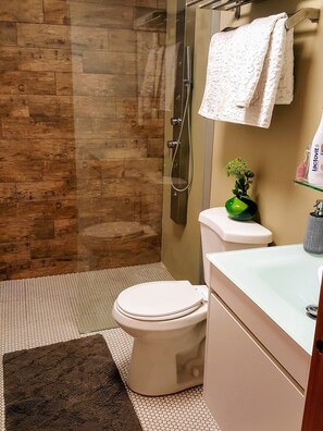 Dusche, Haartrockner, Handtücher, Seife