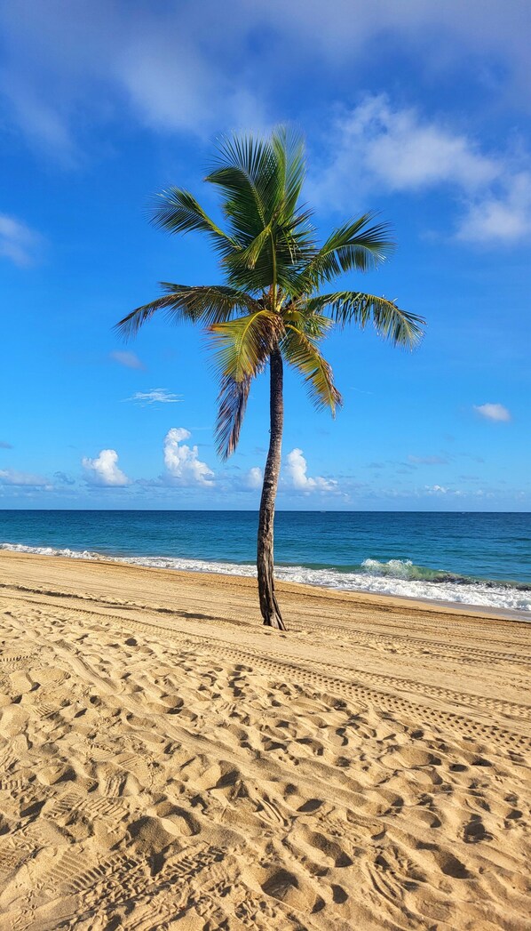Plage à proximité