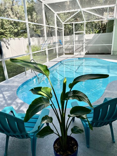 Adorable guest house with pool, Pet Friendly, in downtown Mount Dora,