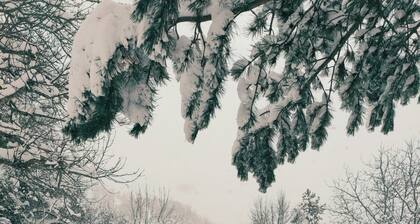 In the Gran Sasso-Monti della Laga Park, villa in small village nestled in the woods