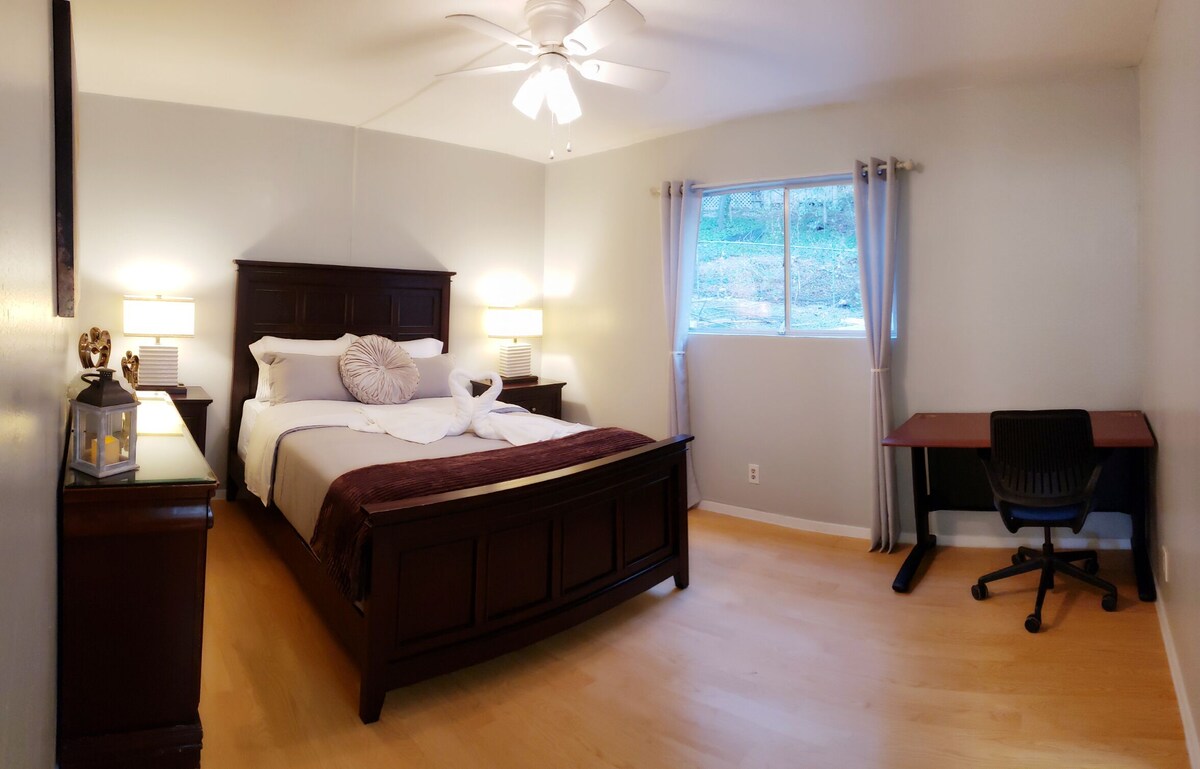 Photo 38 of Private Peaceful 4x4 House Near Downtown Austin