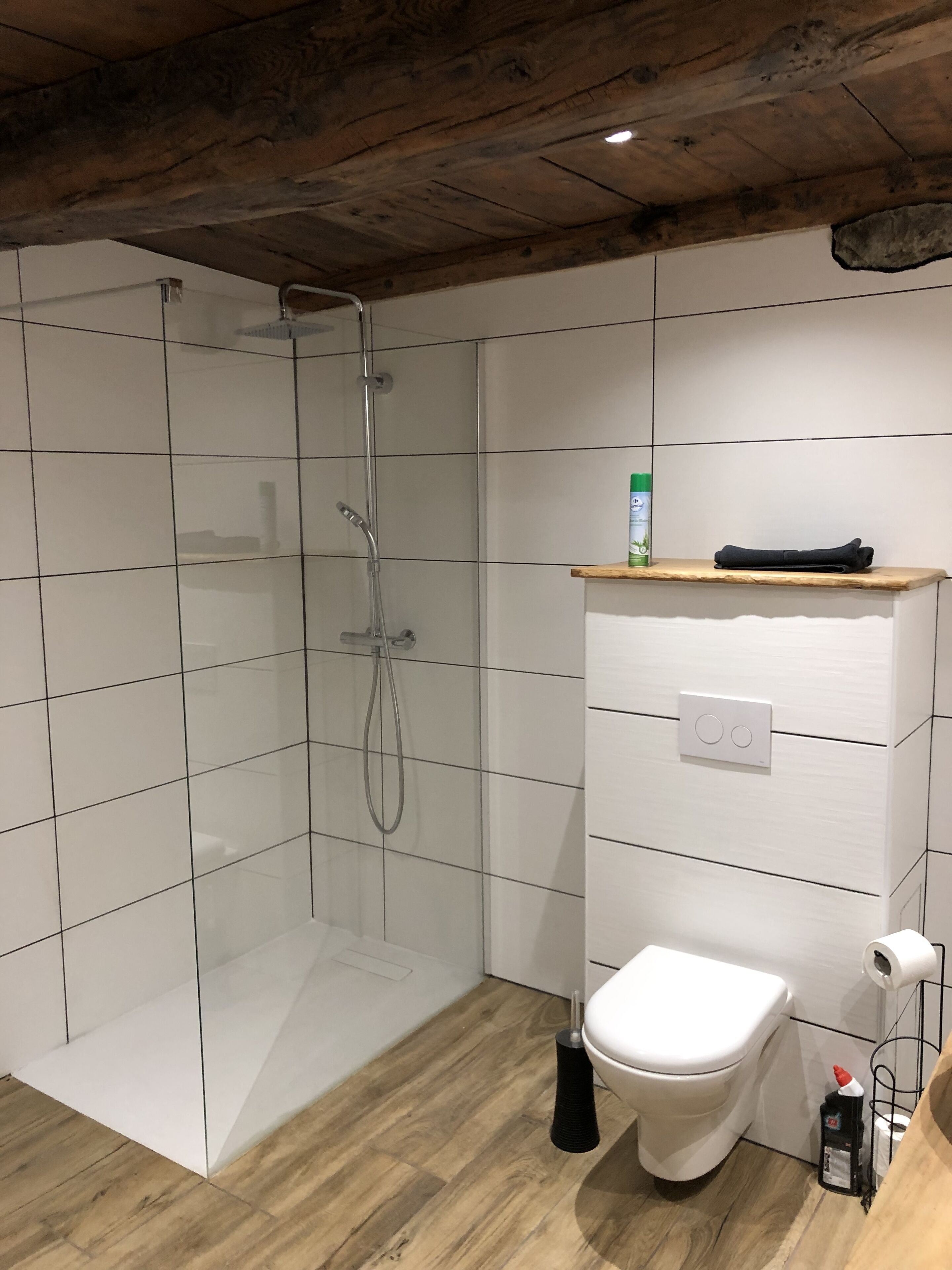 Douche, sèche-cheveux, serviettes fournies, papier toilette