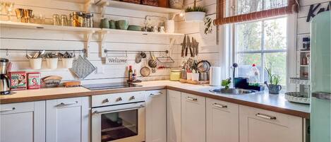 Fridge, oven, stovetop, coffee/tea maker