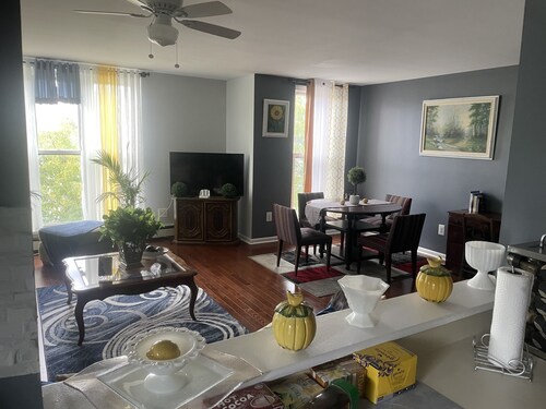 Amazing Two bedroom Villa in East Brooklyn