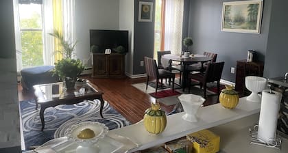 Amazing Two bedroom Villa in East Brooklyn