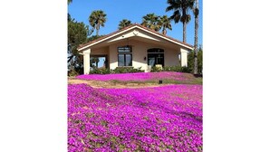 A house with a red-tiled roof, a front porch, and a well-maintained lawn. - Ocean Breezes VRBO (Fallbrook)