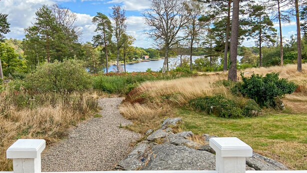 A gravel path leading to a lake surrounded by trees and bushes.