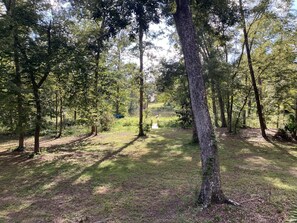 Une zone boisée avec un sentier bien défini, des arbres et une étendue d’eau en arrière-plan.