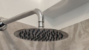 A modern showerhead with a curved design and a circular basin. - Apartment in front of the hospital  (Modena)