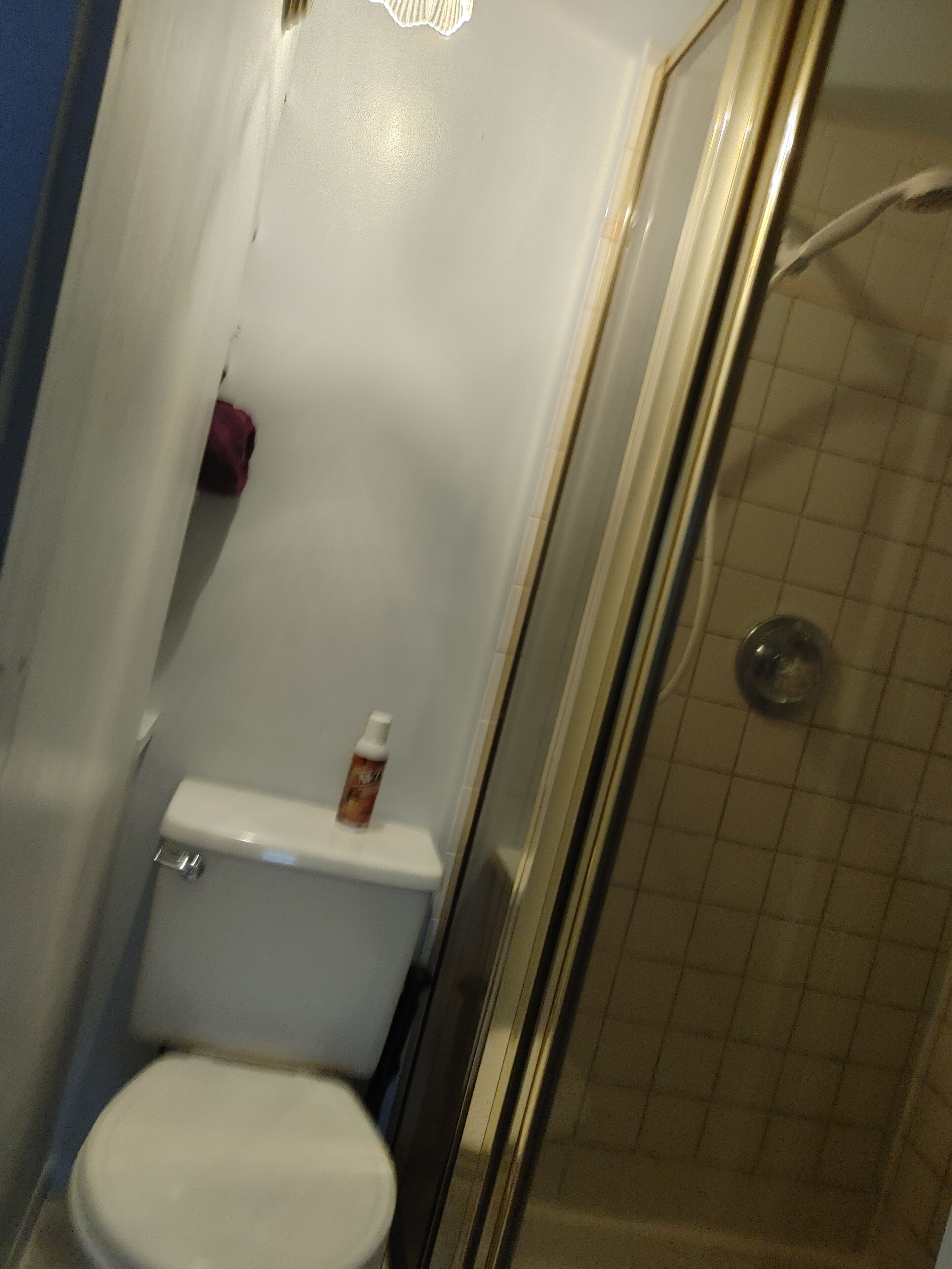 Une petite salle de bain comprenant des toilettes, une douche et un porte-rouleau de papier toilette.