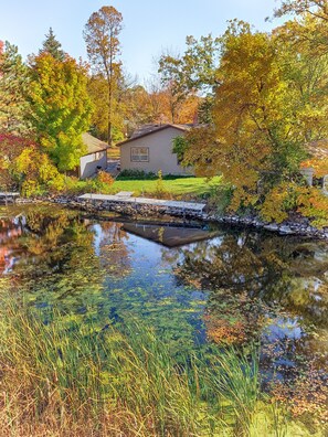 Property grounds - 3BR Cabin on the Lake with Sandy Beach, Kayaks, Docks and Firepit (Isle)