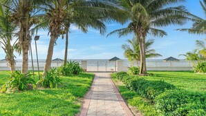 A paved pathway leading to a gated entrance with palm trees and greenery on either side. - Beautiful Condo on the Beach in Freeport! (Freeport)