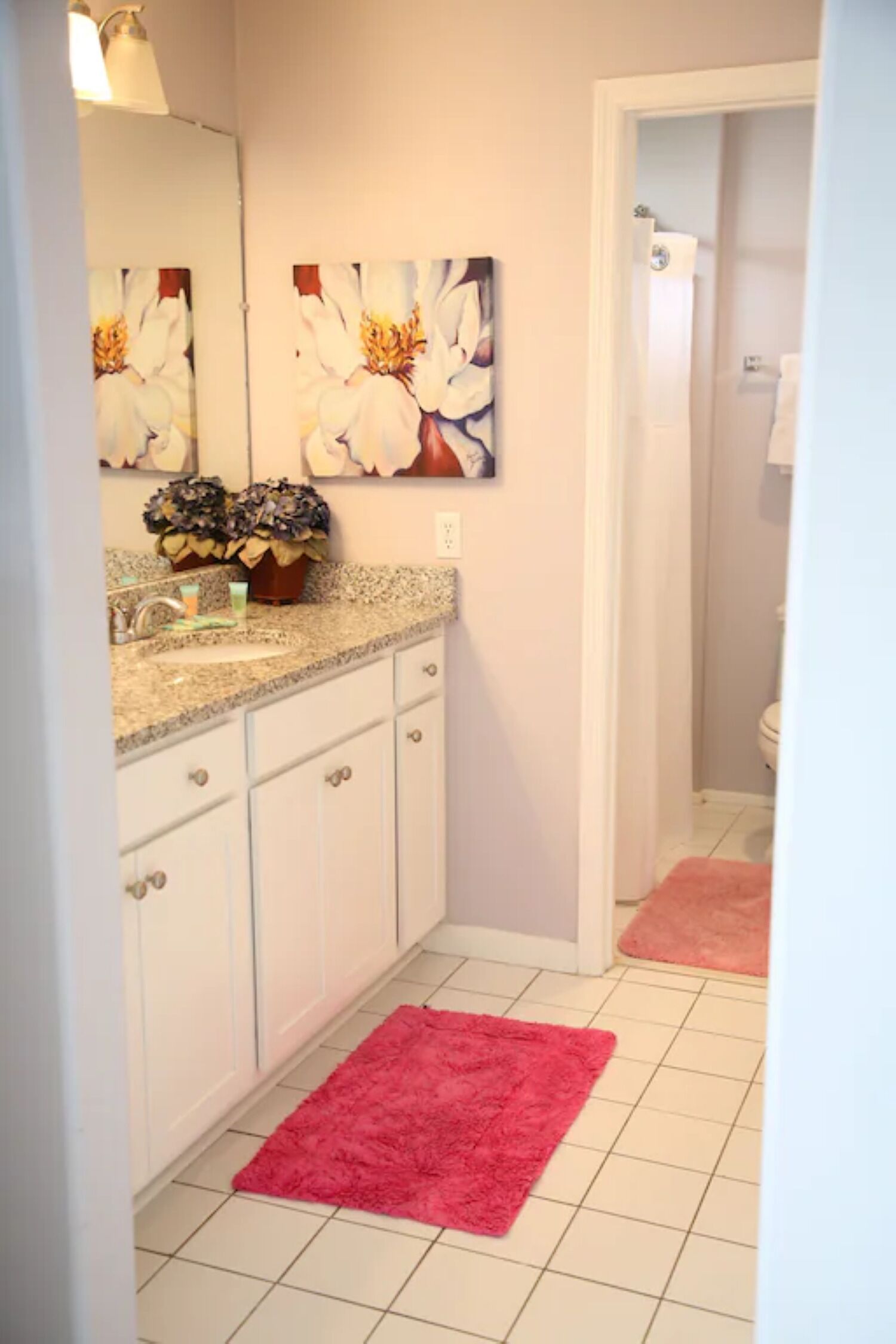 Une salle de bain avec un lavabo blanc, un miroir et un tapis rose sur le sol.