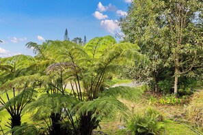 Property grounds - Peaceful Mountain Retreat- Jungle Mountain Vibes (Holualoa)